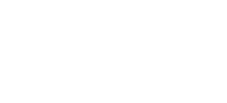 Carreira HOF